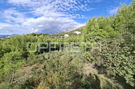 opereta_carousel_photo_7