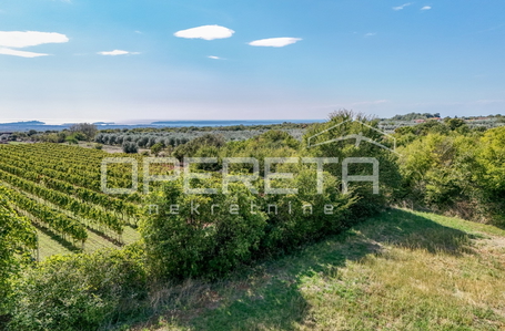 opereta_carousel_photo_2