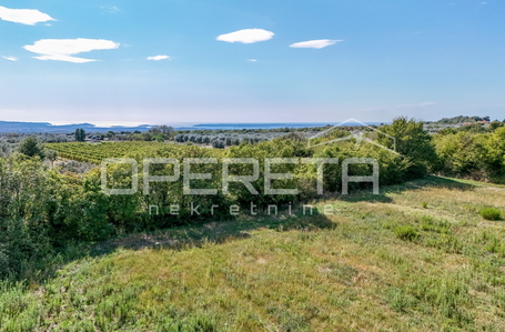 opereta_carousel_photo_3