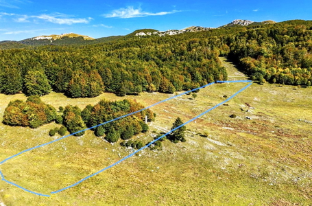 opereta_carousel_photo_3