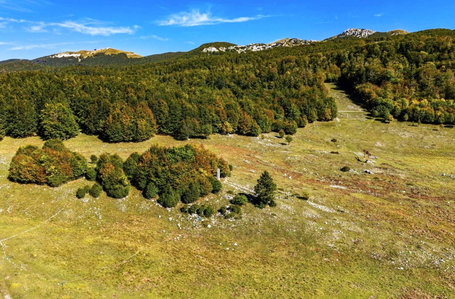 opereta_carousel_photo_4