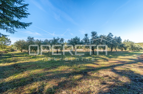 opereta_carousel_photo_3