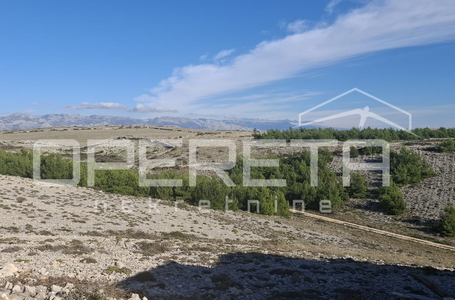 opereta_carousel_photo_9