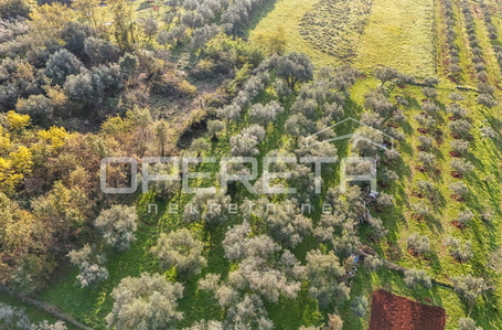 opereta_carousel_photo_2