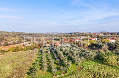 opereta_carousel_photo_3