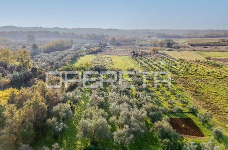 opereta_carousel_photo_4