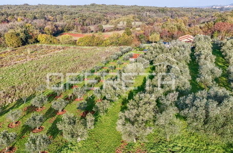 opereta_carousel_photo_5