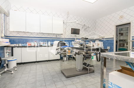 opereta_carousel_photo_8