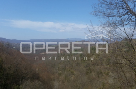 opereta_carousel_photo_4