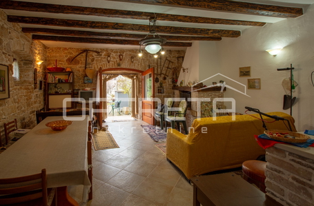 opereta_carousel_photo_4