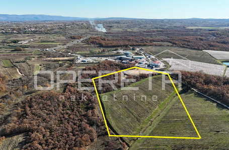 opereta_carousel_photo_2