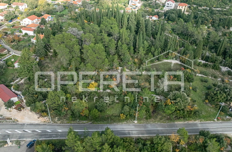 opereta_carousel_photo_5