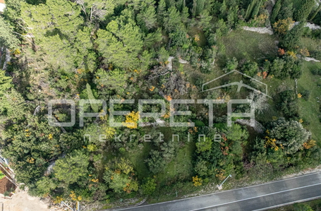 opereta_carousel_photo_6