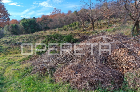 opereta_carousel_photo_2