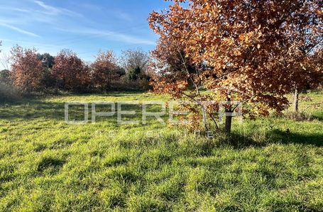 opereta_carousel_photo_3