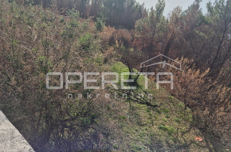 opereta_carousel_photo_2