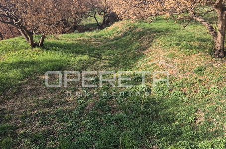 opereta_carousel_photo_3