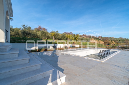 opereta_carousel_photo_9