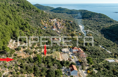 opereta_carousel_photo_8