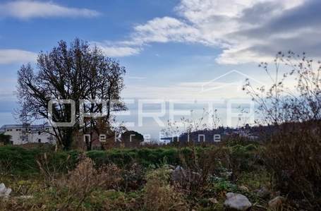 opereta_carousel_photo_4