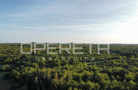 opereta_carousel_photo_3