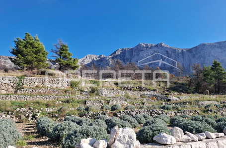 opereta_carousel_photo_3