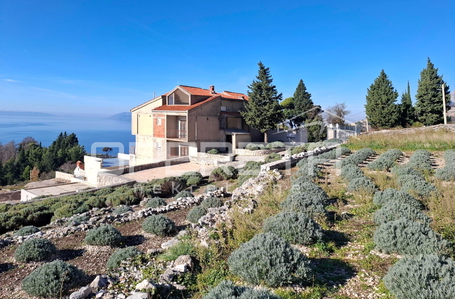 opereta_carousel_photo_4