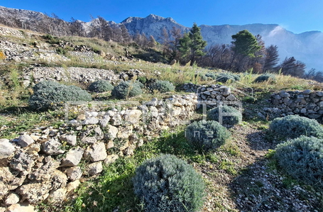 opereta_carousel_photo_5