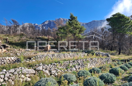 opereta_carousel_photo_6