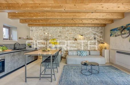 opereta_carousel_photo_2