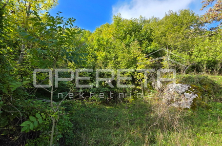 opereta_carousel_photo_8