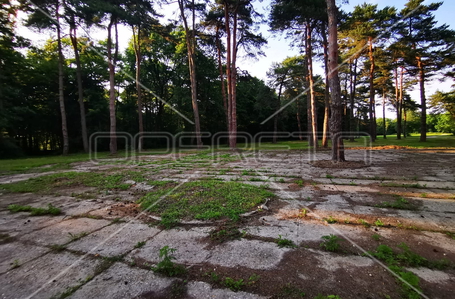 opereta_carousel_photo_6