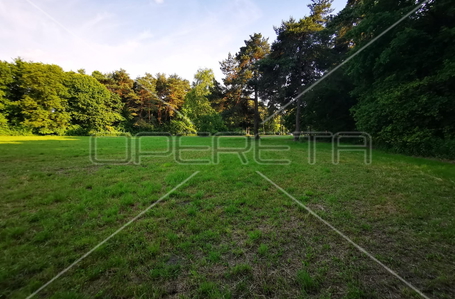 opereta_carousel_photo_7