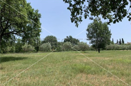 opereta_carousel_photo_8