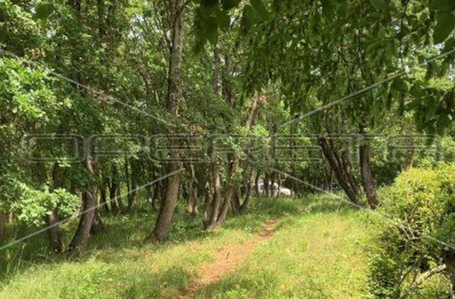 opereta_carousel_photo_9