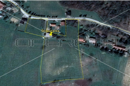 opereta_carousel_photo_6