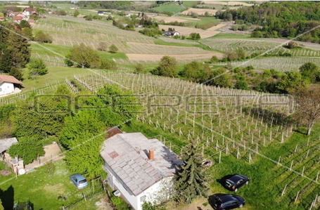 opereta_carousel_photo_2