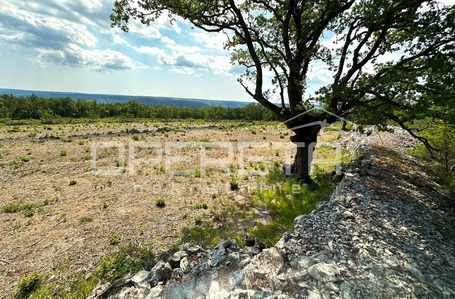 opereta_carousel_photo_2