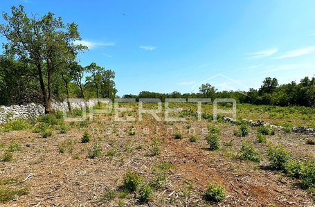 opereta_carousel_photo_3