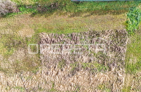 opereta_carousel_photo_3