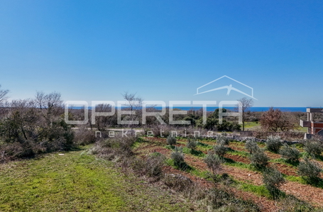 opereta_carousel_photo_7