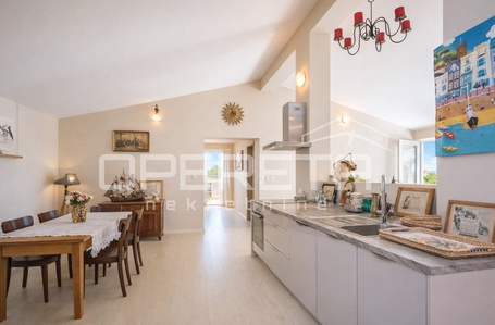 opereta_carousel_photo_2