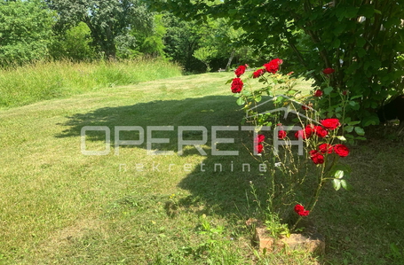 opereta_carousel_photo_4