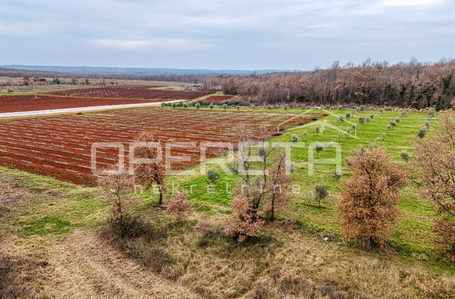 opereta_carousel_photo_4