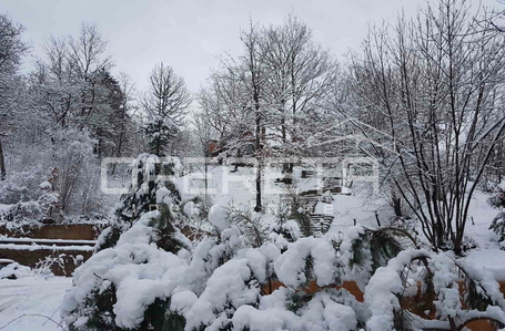 opereta_carousel_photo_2