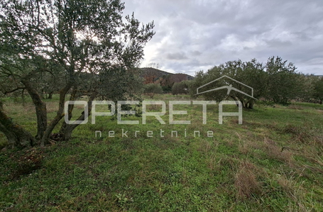 opereta_carousel_photo_2