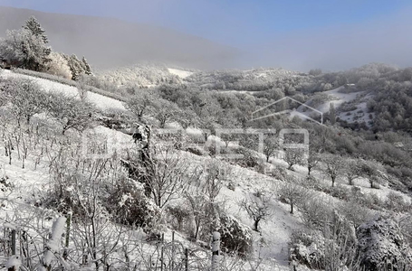opereta_carousel_photo_7