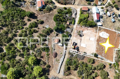 opereta_carousel_photo_2