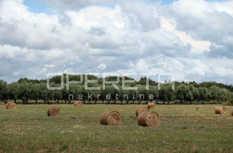 opereta_carousel_photo_2