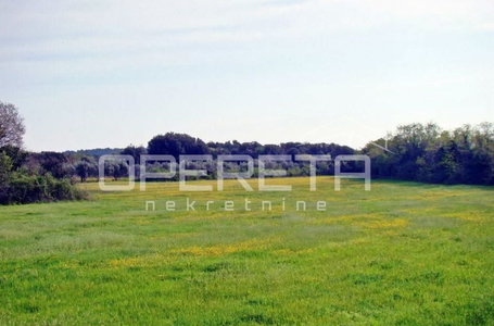 opereta_carousel_photo_3